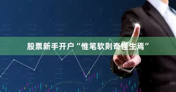 股票新手开户“惟笔软则奇怪生焉”