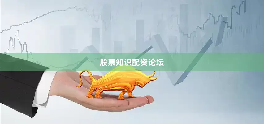 股票知识配资论坛