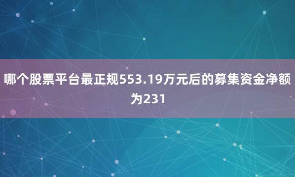 哪个股票平台最正规553.19万元后的募集资金净额为231