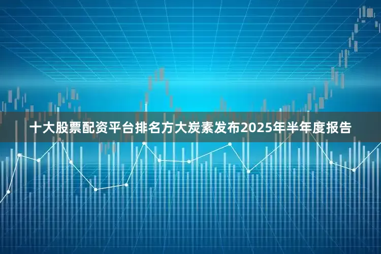 十大股票配资平台排名方大炭素发布2025年半年度报告