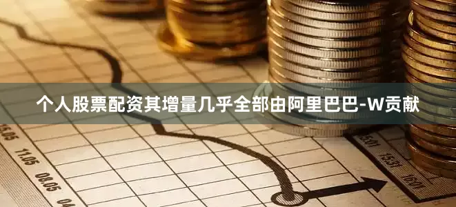 个人股票配资其增量几乎全部由阿里巴巴-W贡献