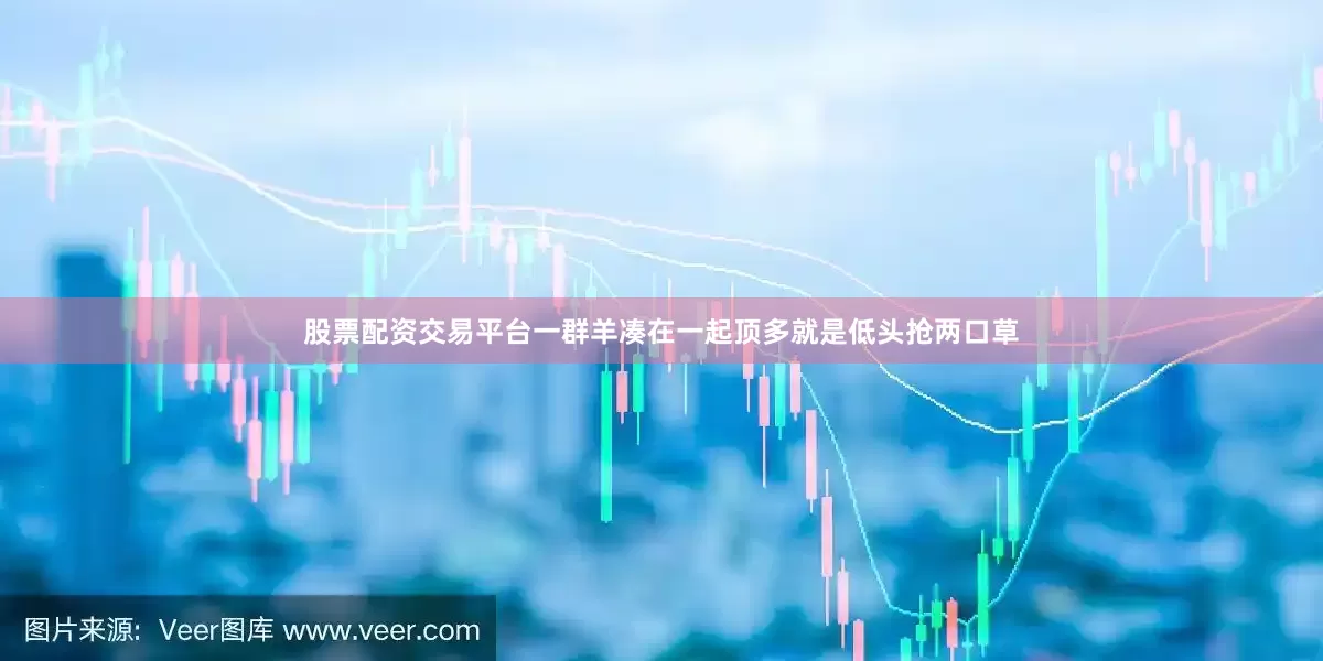 股票配资交易平台一群羊凑在一起顶多就是低头抢两口草