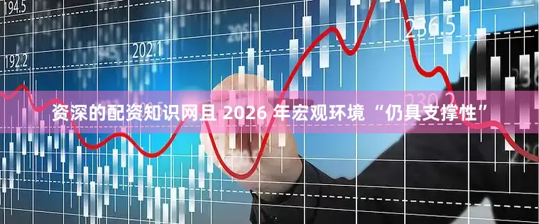 资深的配资知识网且 2026 年宏观环境 “仍具支撑性”